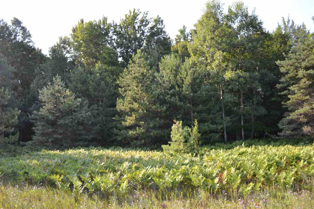 0000 Bergmann Road East Jordan MI 49727