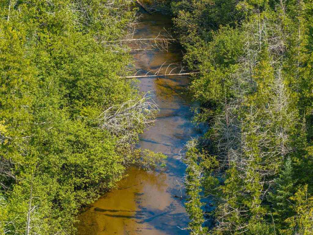 0000 Bergmann Road East Jordan MI 49727