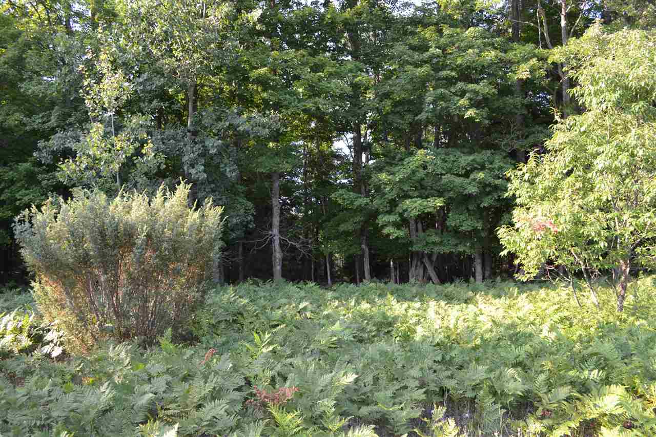 0000 Bergmann Road East Jordan MI 49727