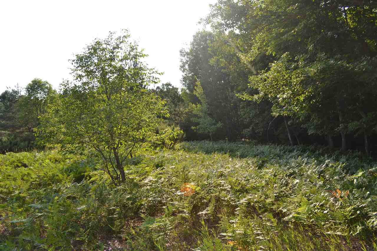 0000 Bergmann Road East Jordan MI 49727