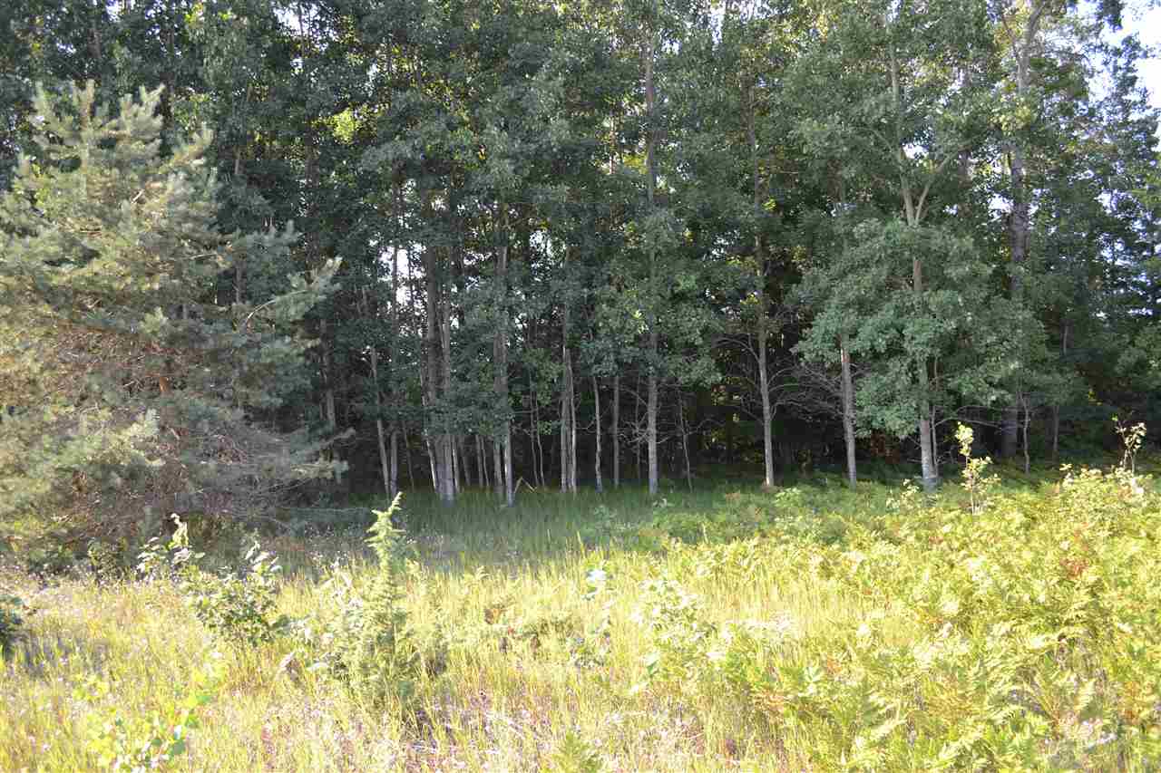 0000 Bergmann Road East Jordan MI 49727