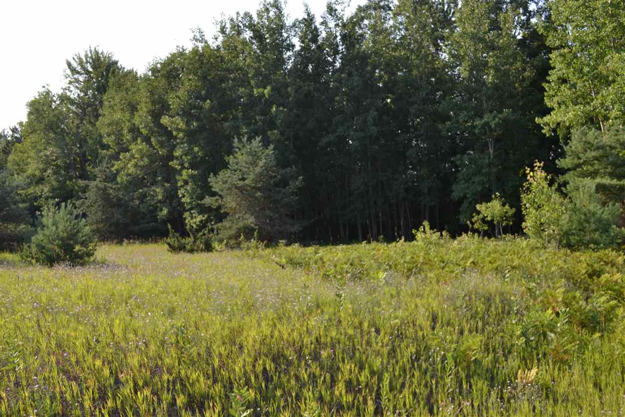 0000 Bergmann Road East Jordan MI 49727