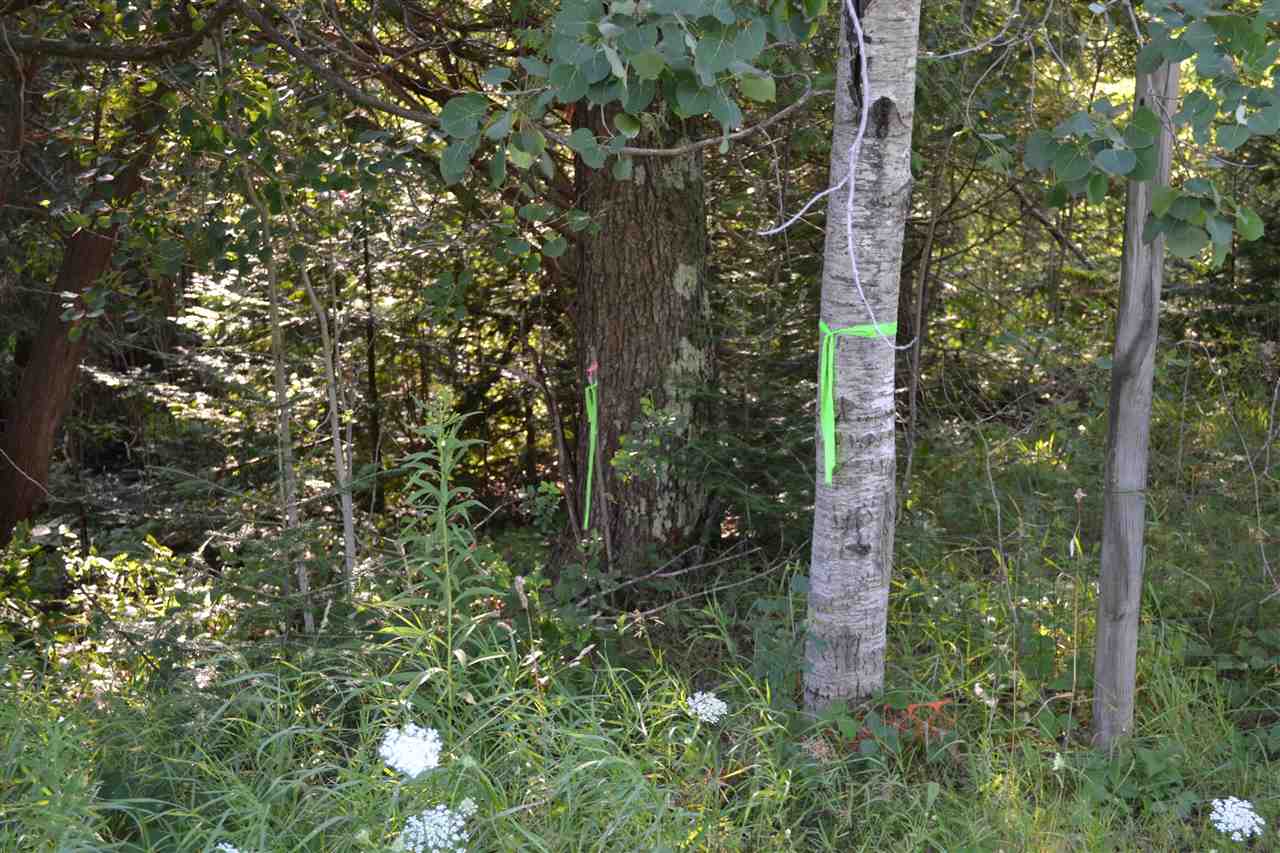 0000 Bergmann Road East Jordan MI 49727