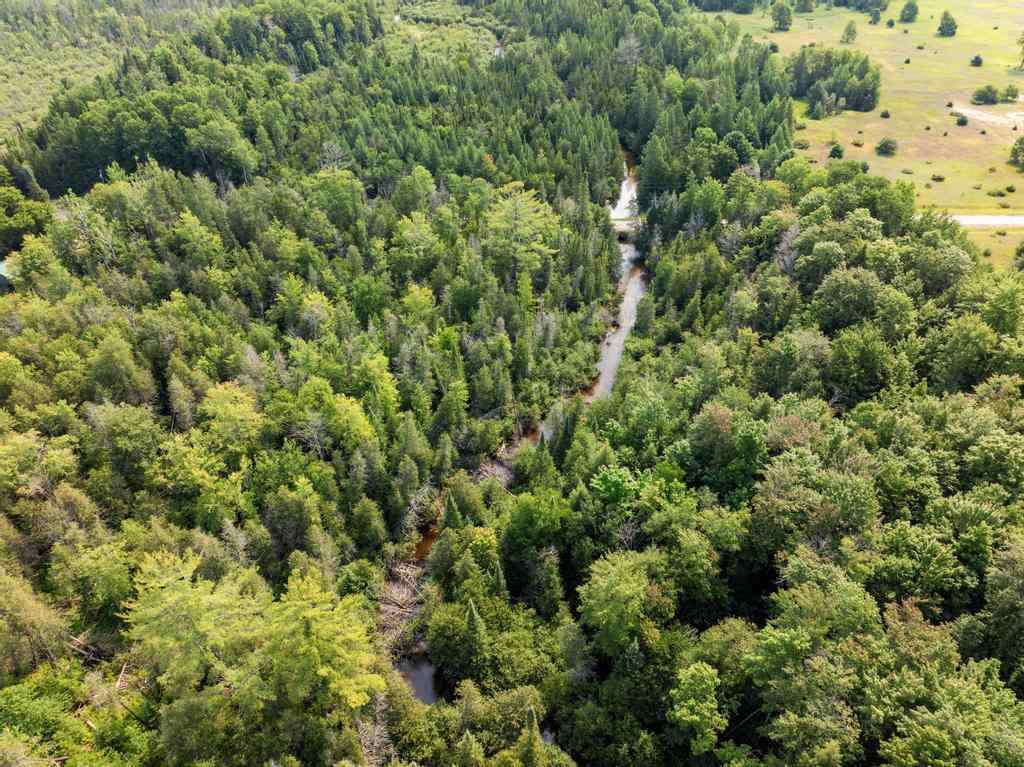 0000 Bergmann Road East Jordan MI 49727