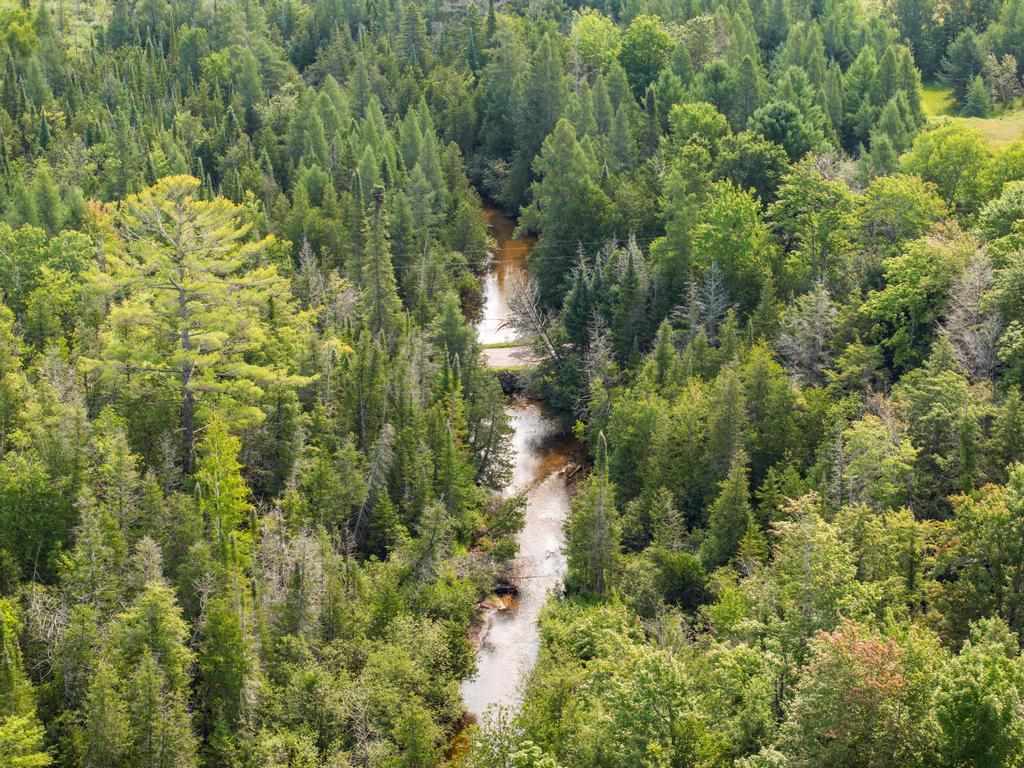 0000 Bergmann Road East Jordan MI 49727