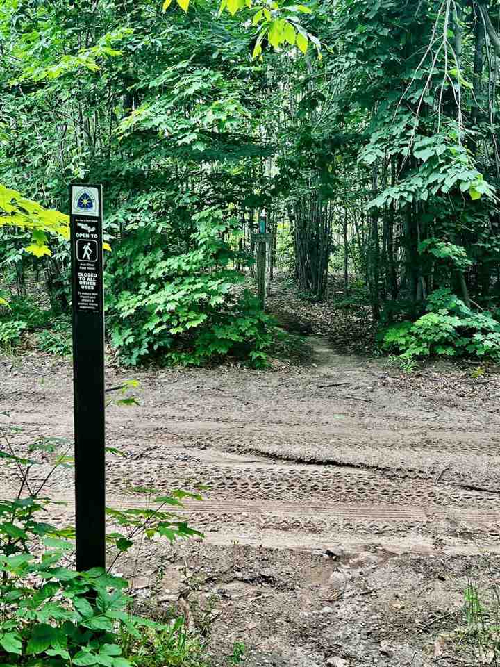 1325 Walkabout Harbor Springs MI 49740