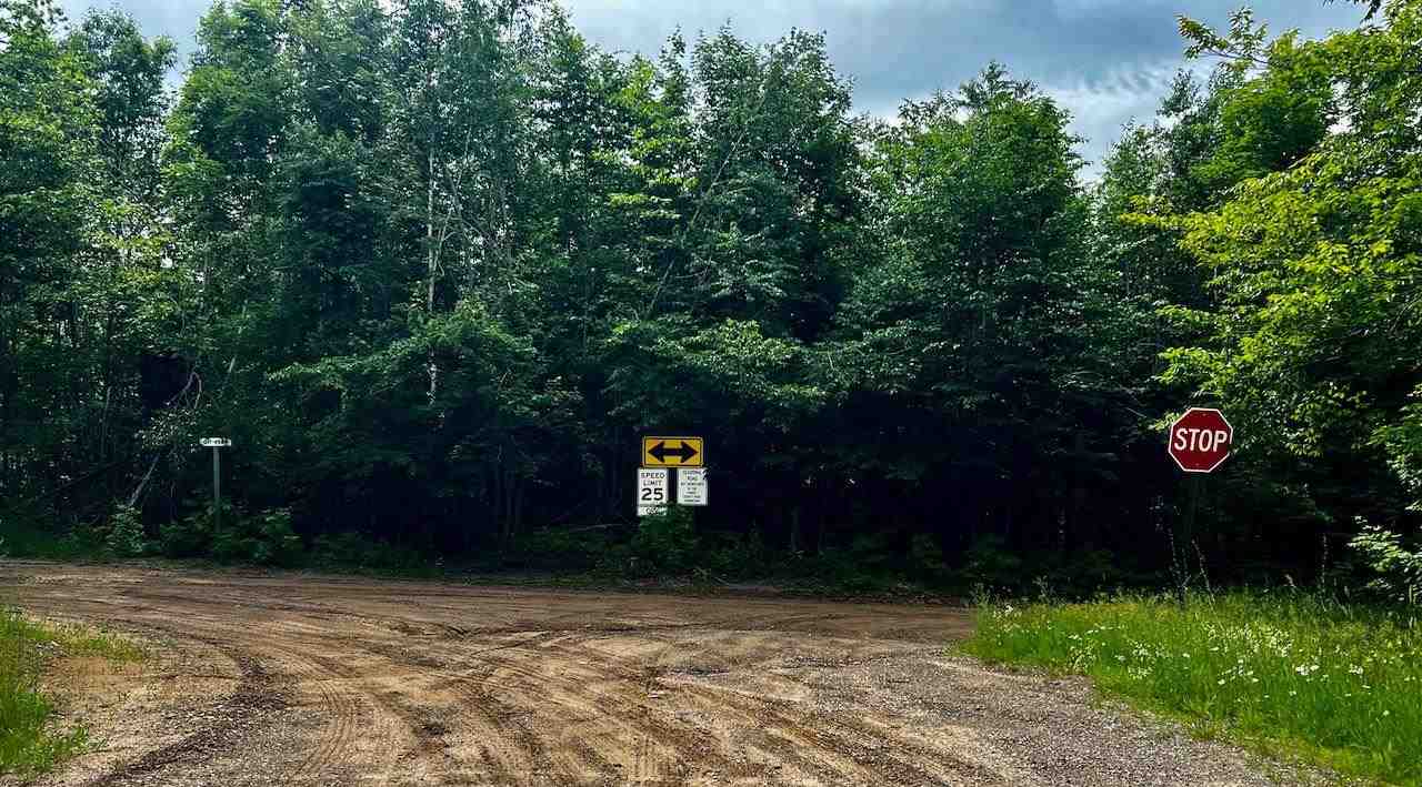 1325 Walkabout Harbor Springs MI 49740
