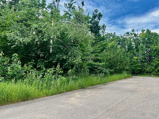 1325 Walkabout Harbor Springs MI 49740