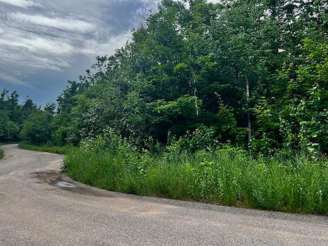 1325 Walkabout Harbor Springs MI 49740