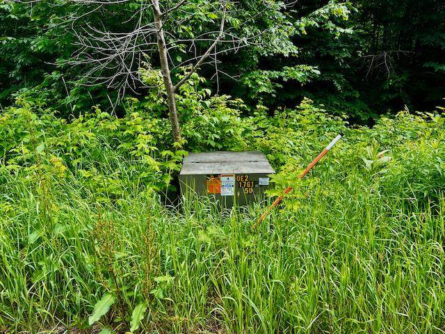 1325 Walkabout Harbor Springs MI 49740