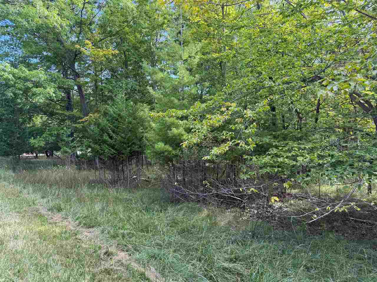 Mount Mcsauba Charlevoix MI 49720