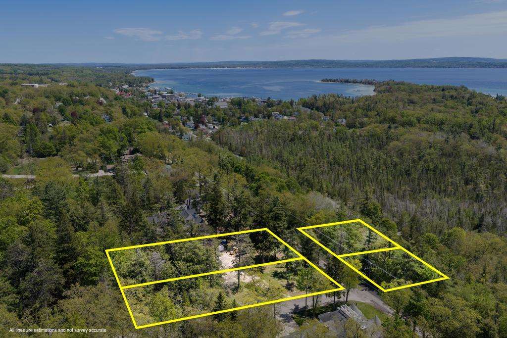 582 W Bluff Drive Harbor Springs MI 49770-000
