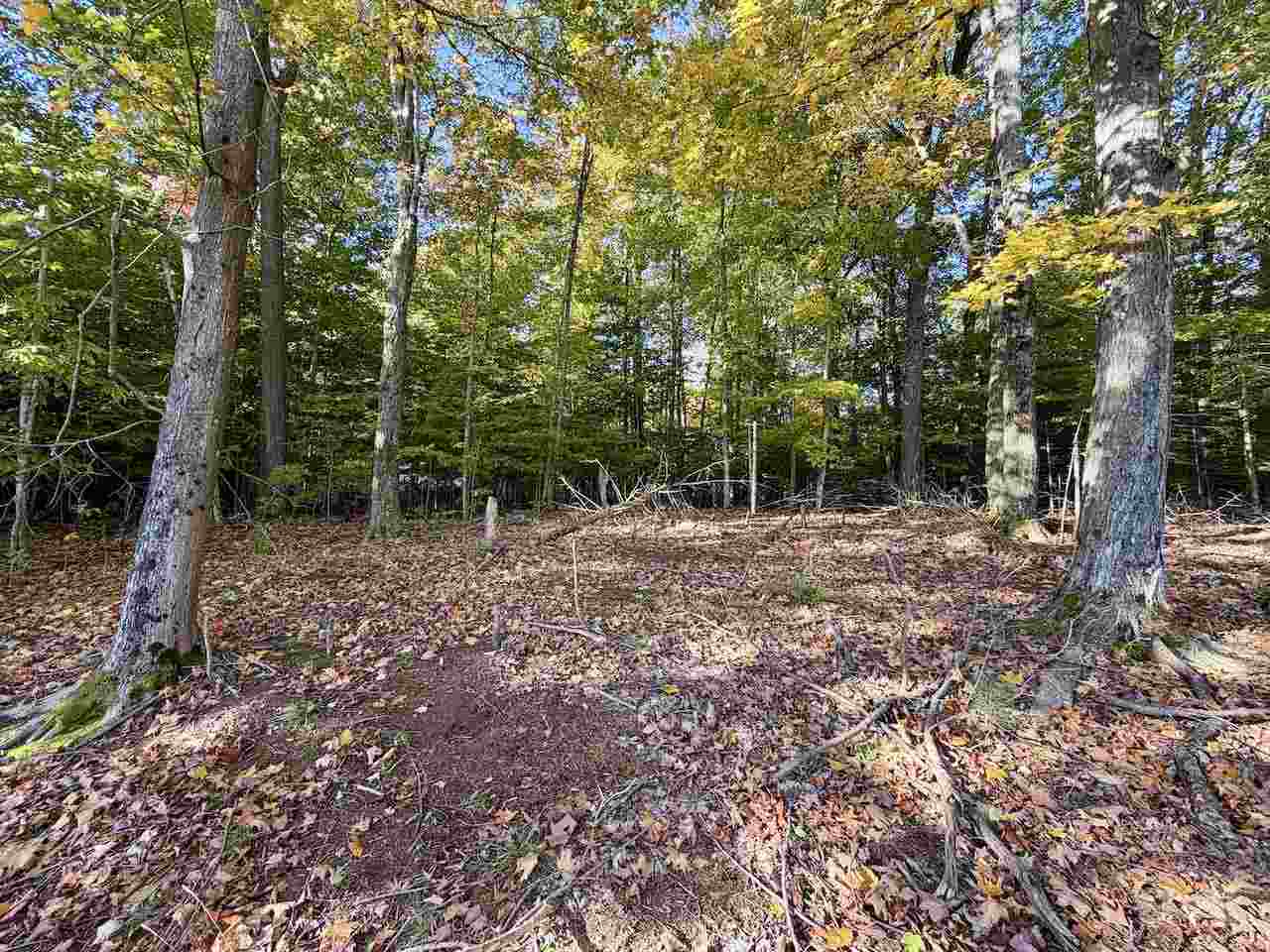 35395 Rybaski's Road Beaver Island MI 49782