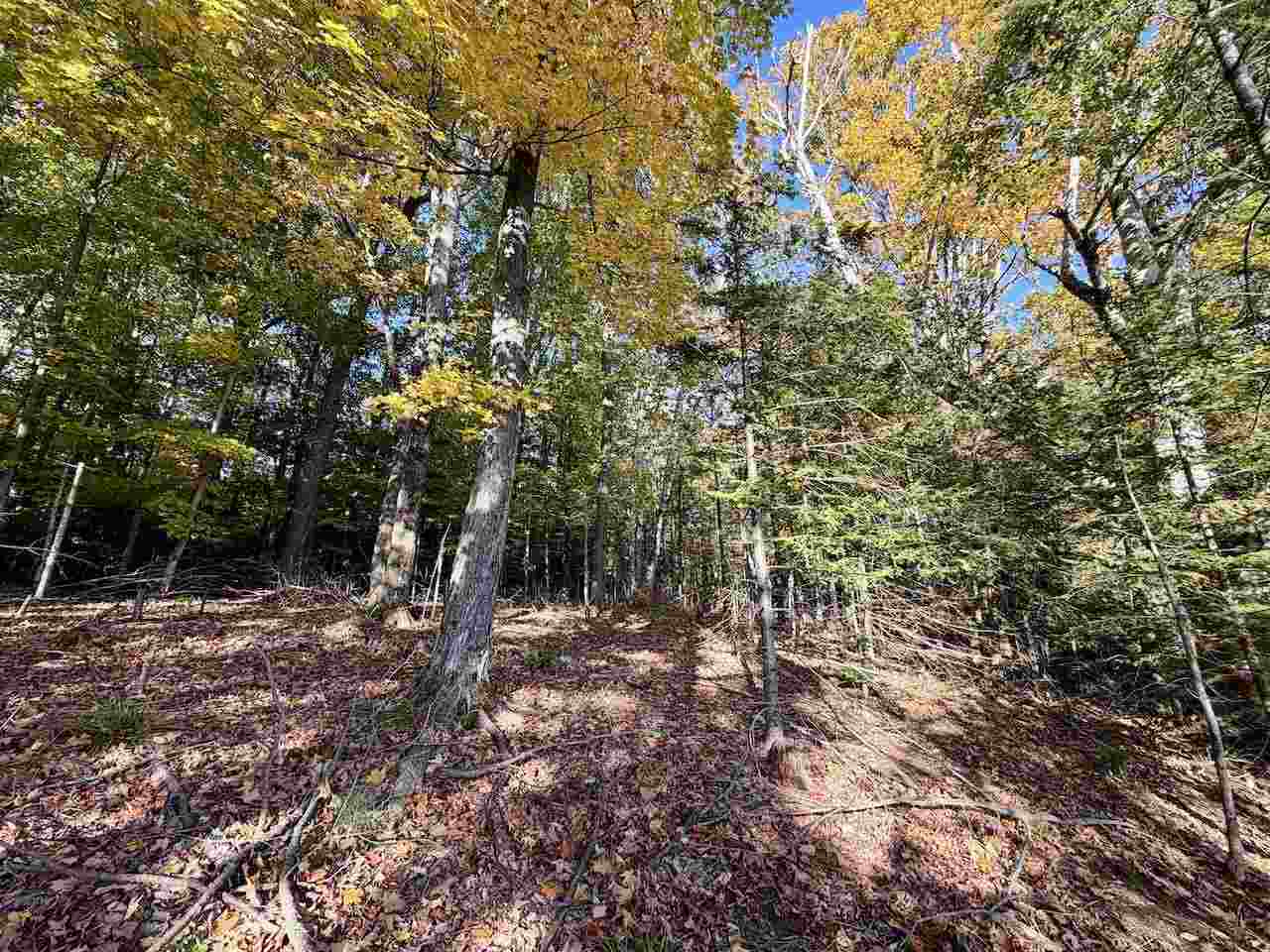 35395 Rybaski's Road Beaver Island MI 49782
