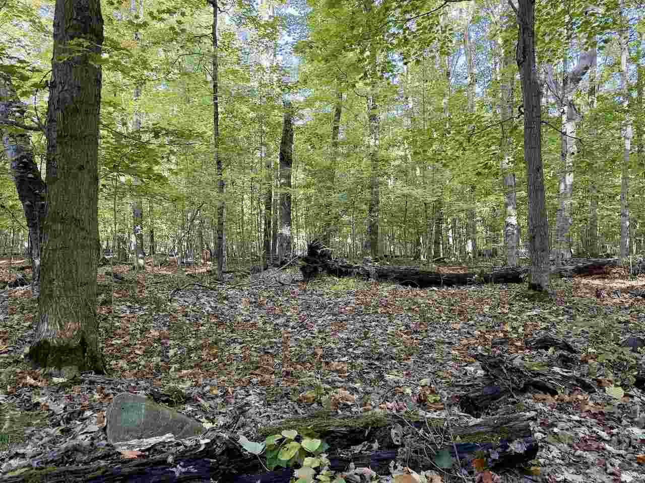 35395 Rybaski's Road Beaver Island MI 49782