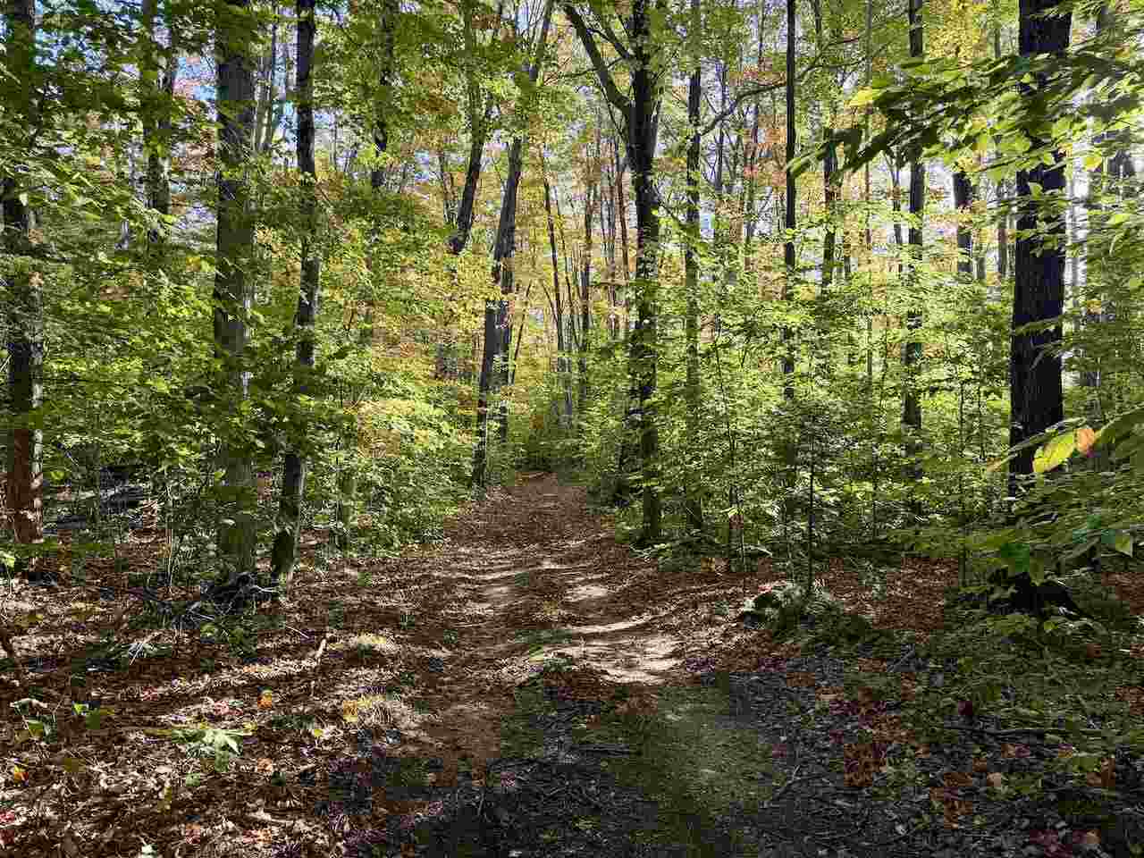 35395 Rybaski's Road Beaver Island MI 49782