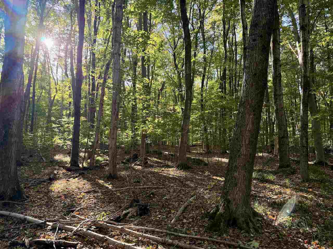 35395 Rybaski's Road Beaver Island MI 49782