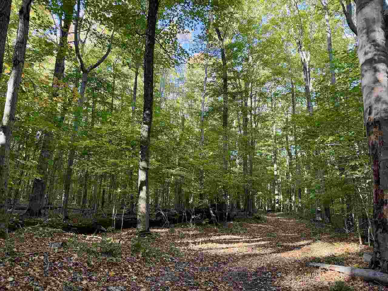 35395 Rybaski's Road Beaver Island MI 49782