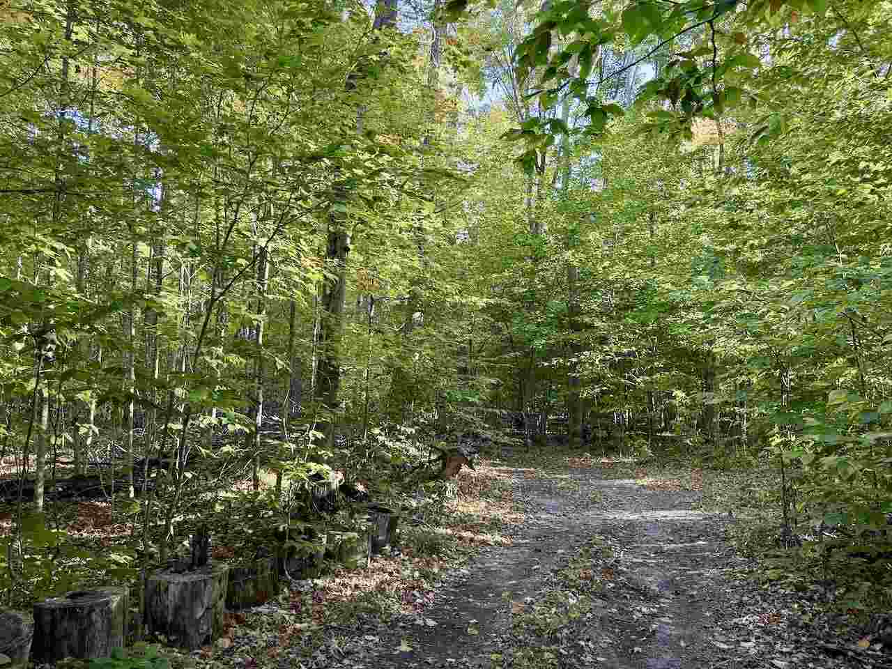 35395 Rybaski's Road Beaver Island MI 49782