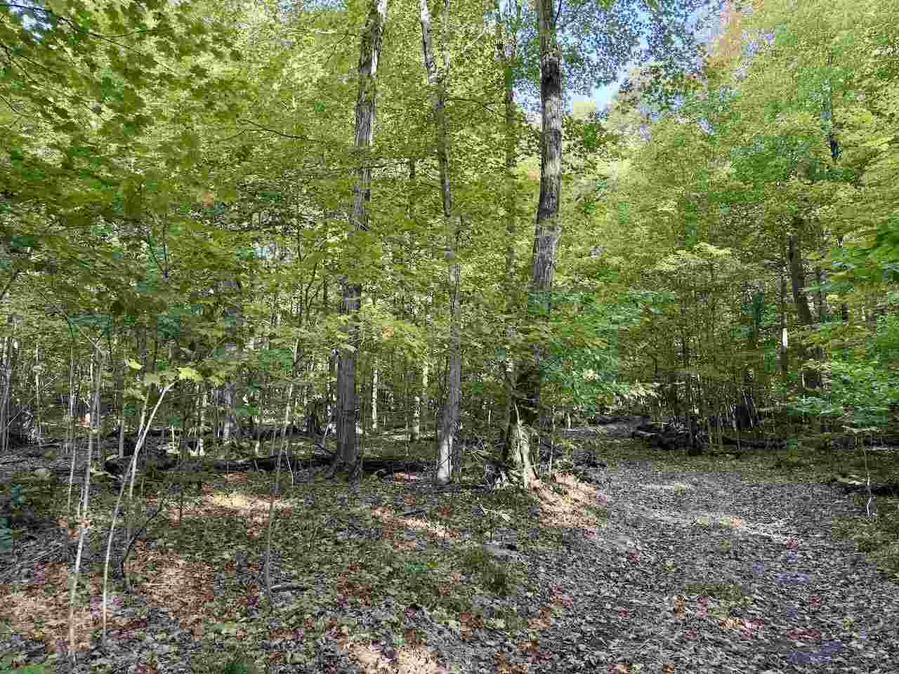 35395 Rybaski's Road Beaver Island MI 49782