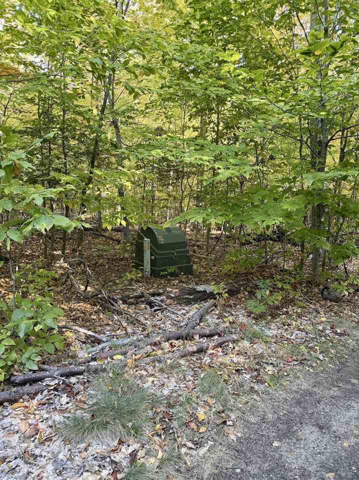 35395 Rybaski's Road Beaver Island MI 49782