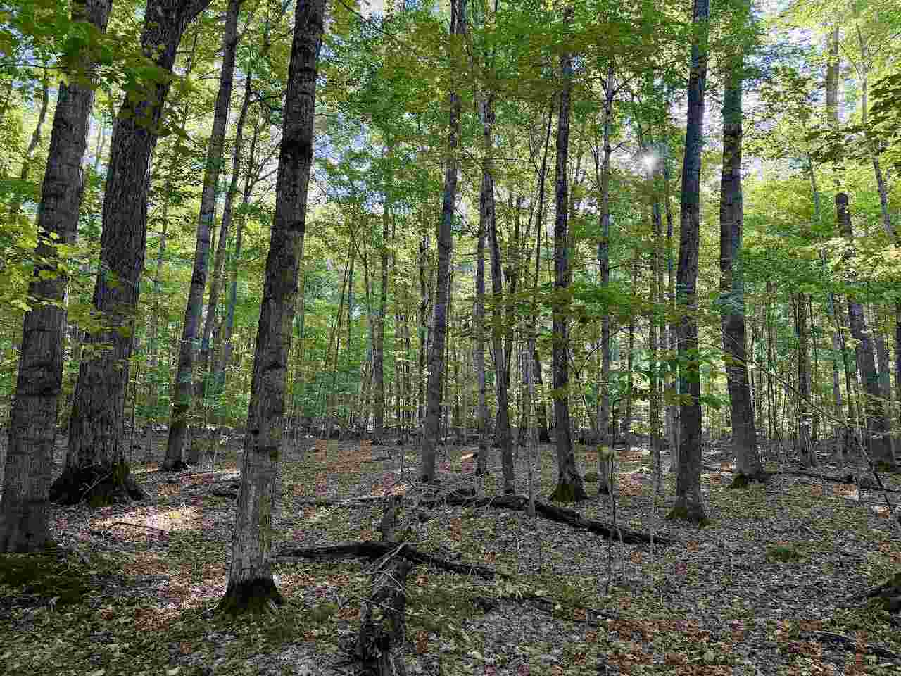 35395 Rybaski's Road Beaver Island MI 49782