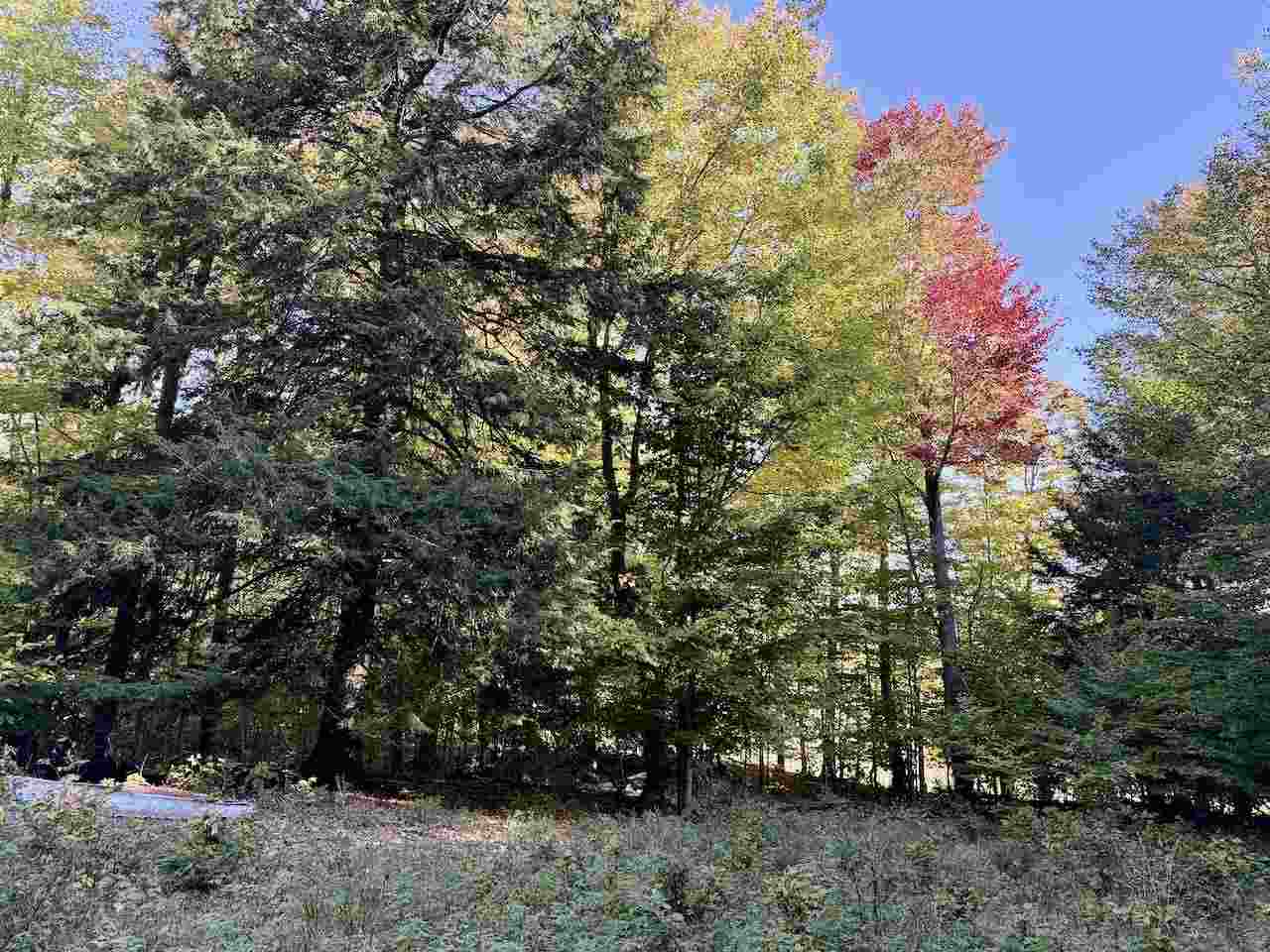 35395 Rybaski's Road Beaver Island MI 49782