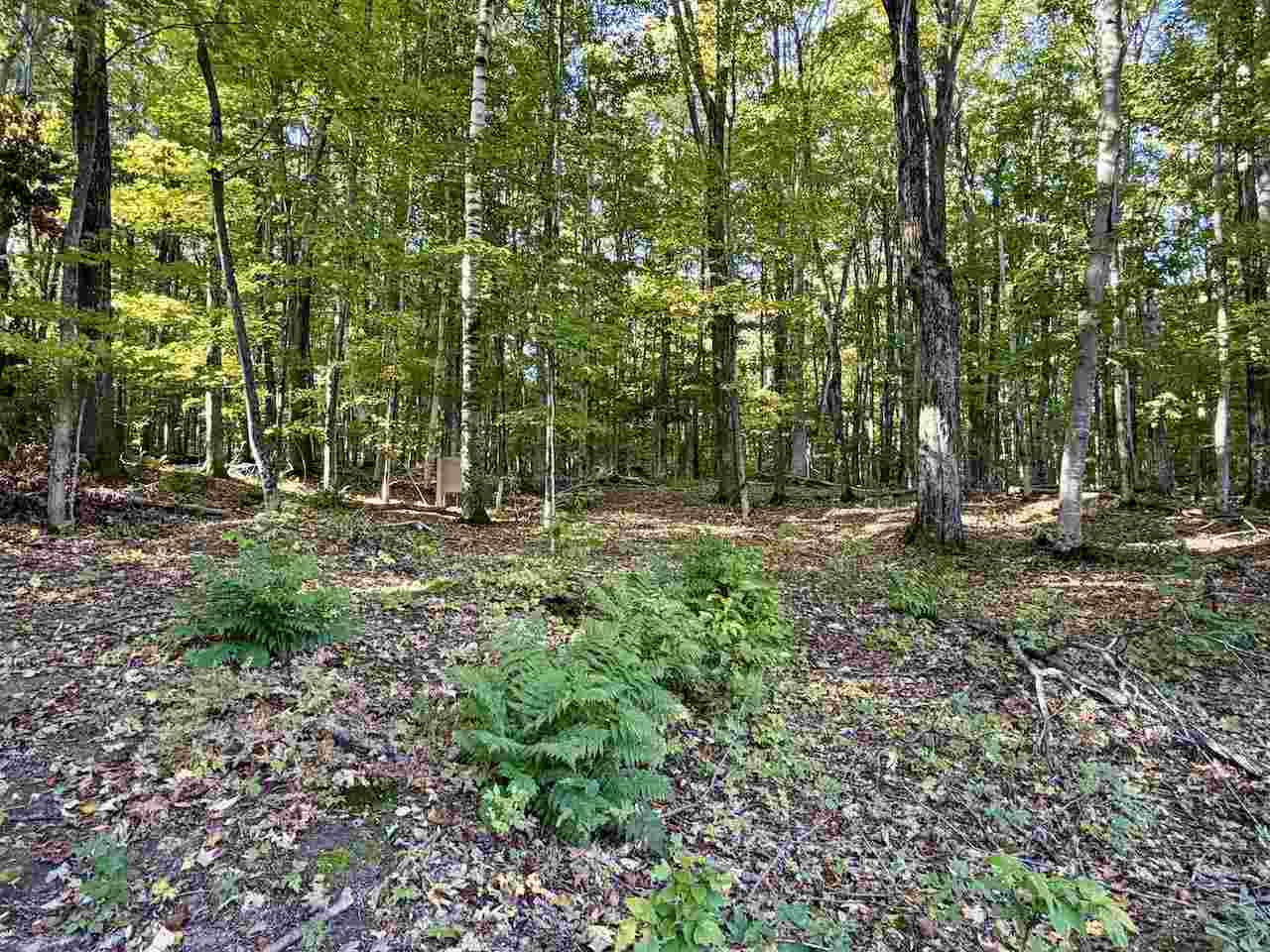 35395 Rybaski's Road Beaver Island MI 49782