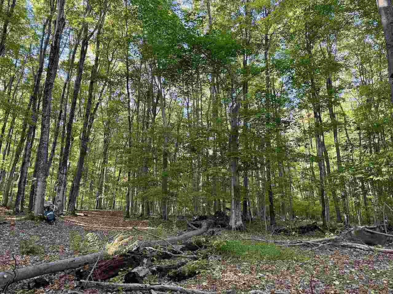 35395 Rybaski's Road Beaver Island MI 49782