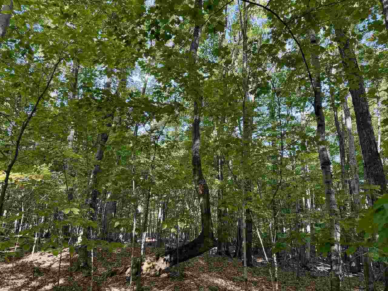 35395 Rybaski's Road Beaver Island MI 49782