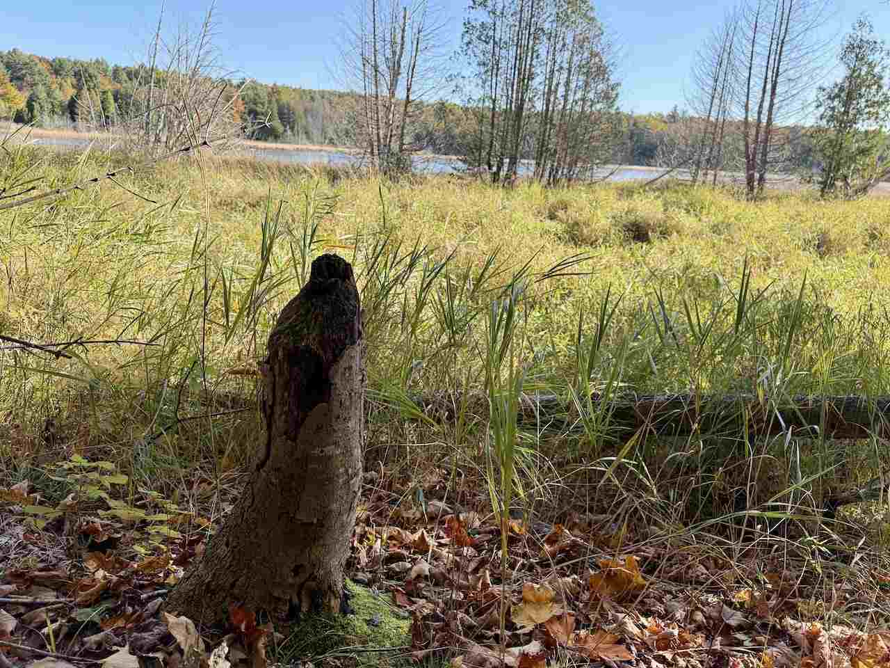 35395 Rybaski's Road Beaver Island MI 49782