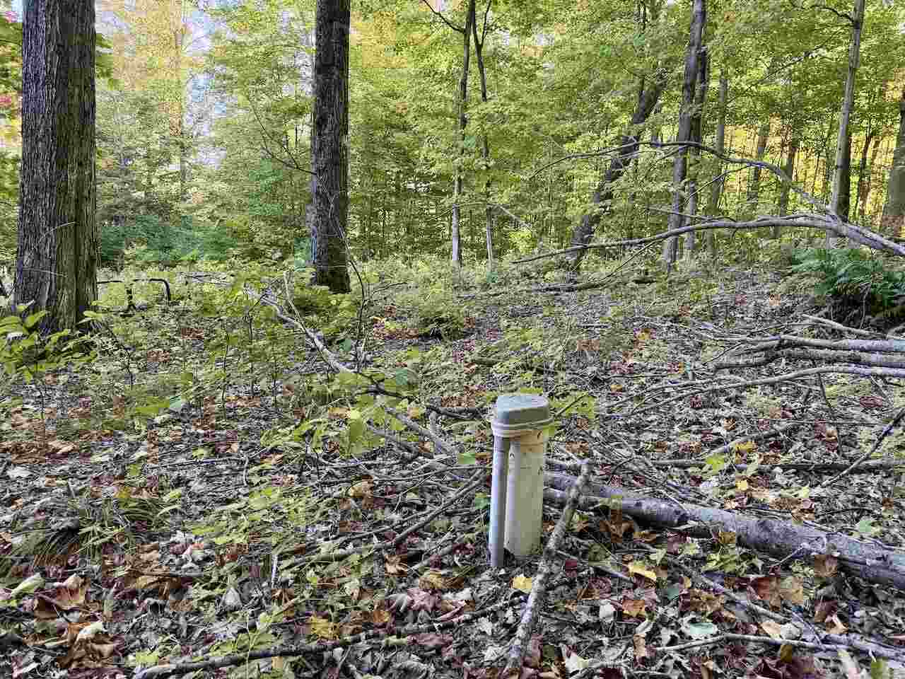 35395 Rybaski's Road Beaver Island MI 49782