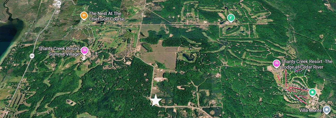 0 Shanty Creek Road Bellaire MI 49615