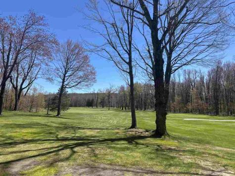 4925 Eastwind Way Harbor Springs MI 49740