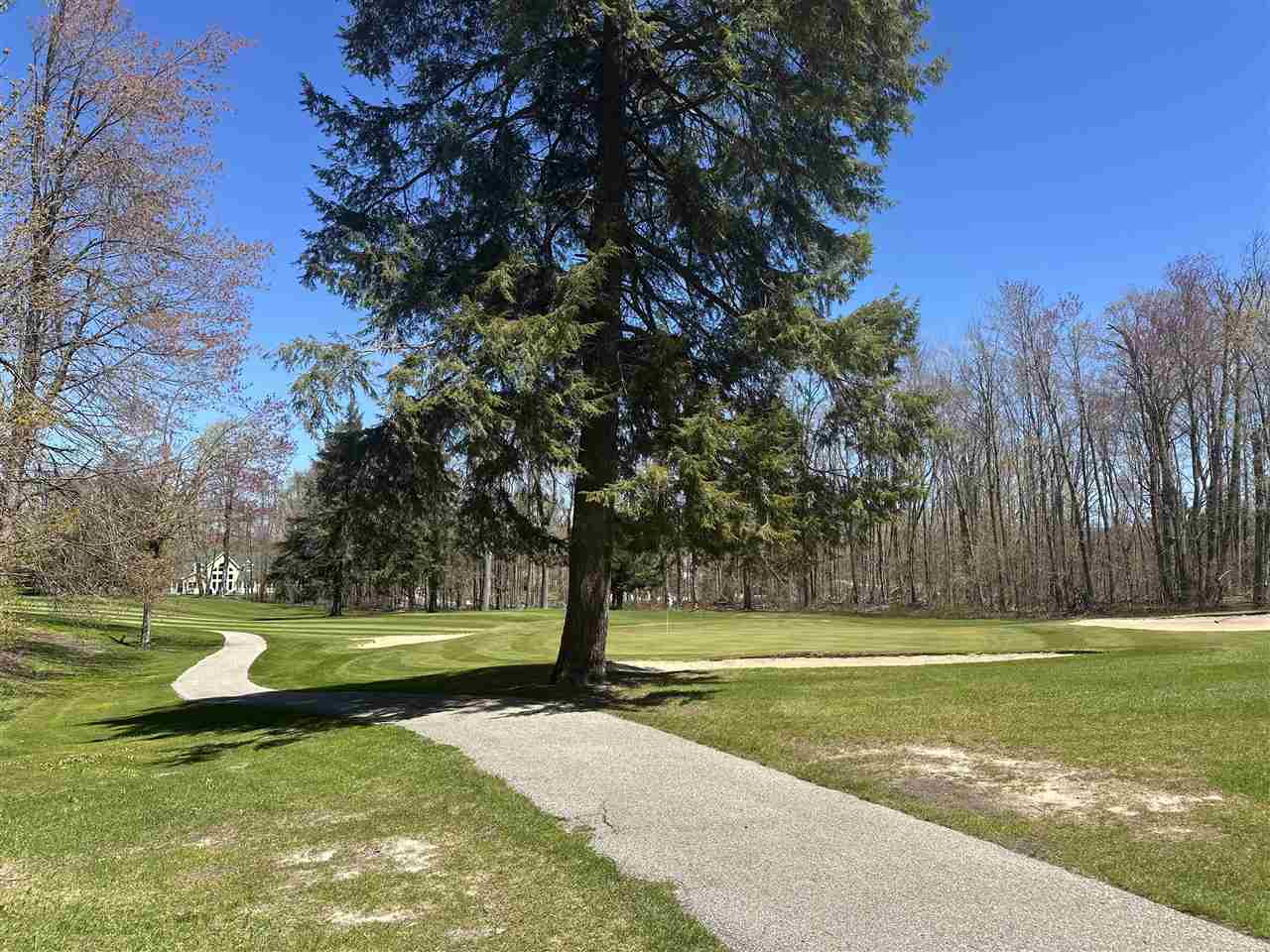 4925 Eastwind Way Harbor Springs MI 49740