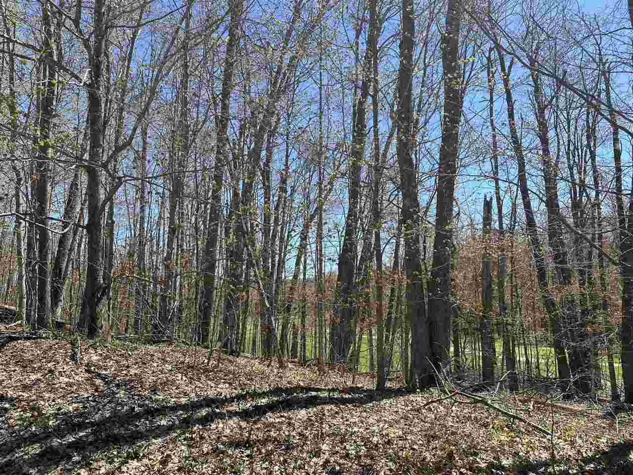 4925 Eastwind Way Harbor Springs MI 49740