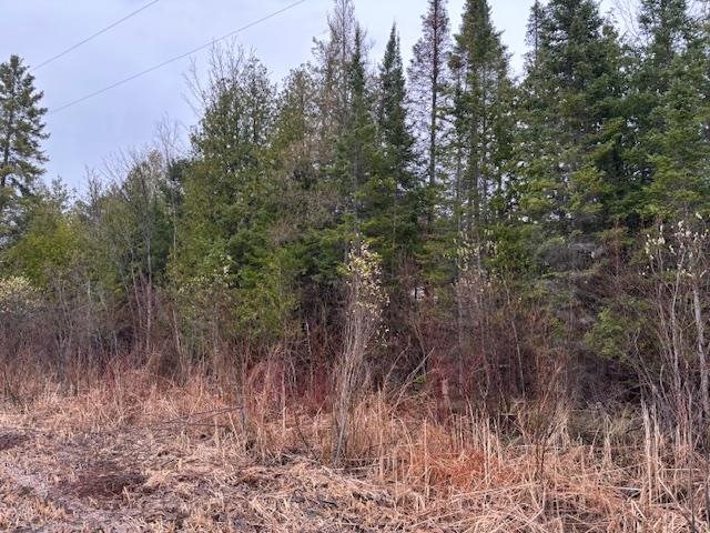 Tbd Banwell Alanson MI 49706