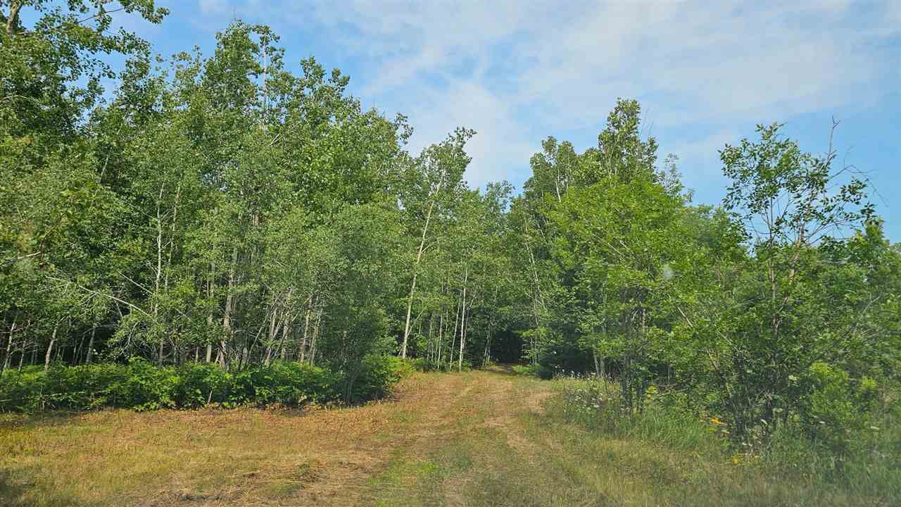 8586 N Us 31 Levering MI 49755