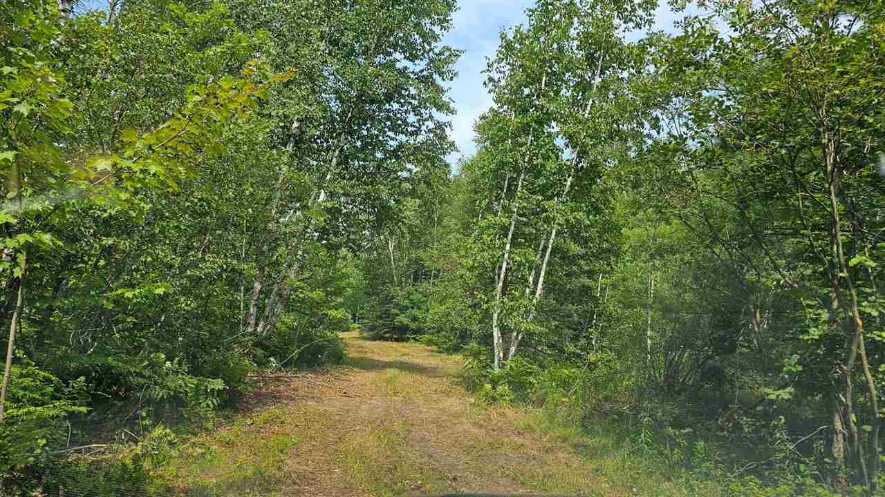 8586 N Us 31 Levering MI 49755