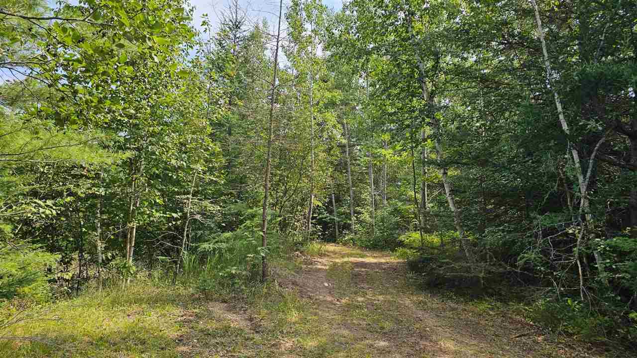 8586 N Us 31 Levering MI 49755