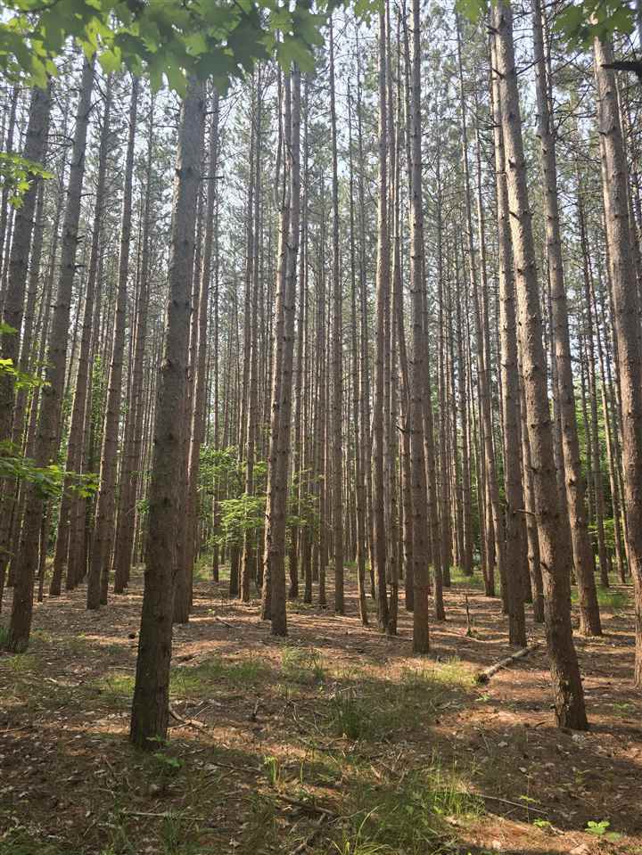 8745 Voyageur Trail Harbor Springs MI 49740