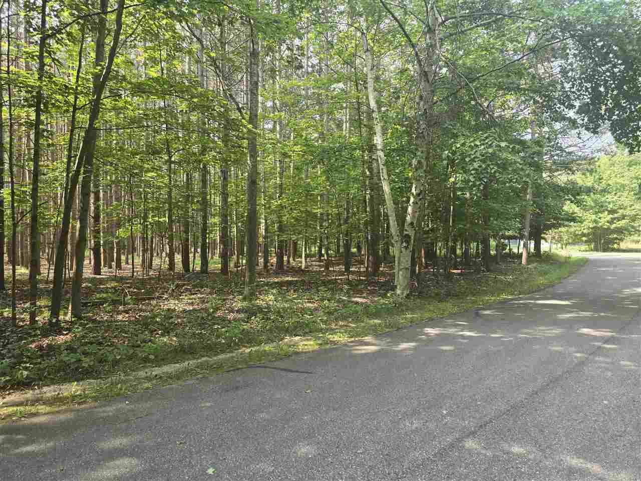 8745 Voyageur Trail Harbor Springs MI 49740