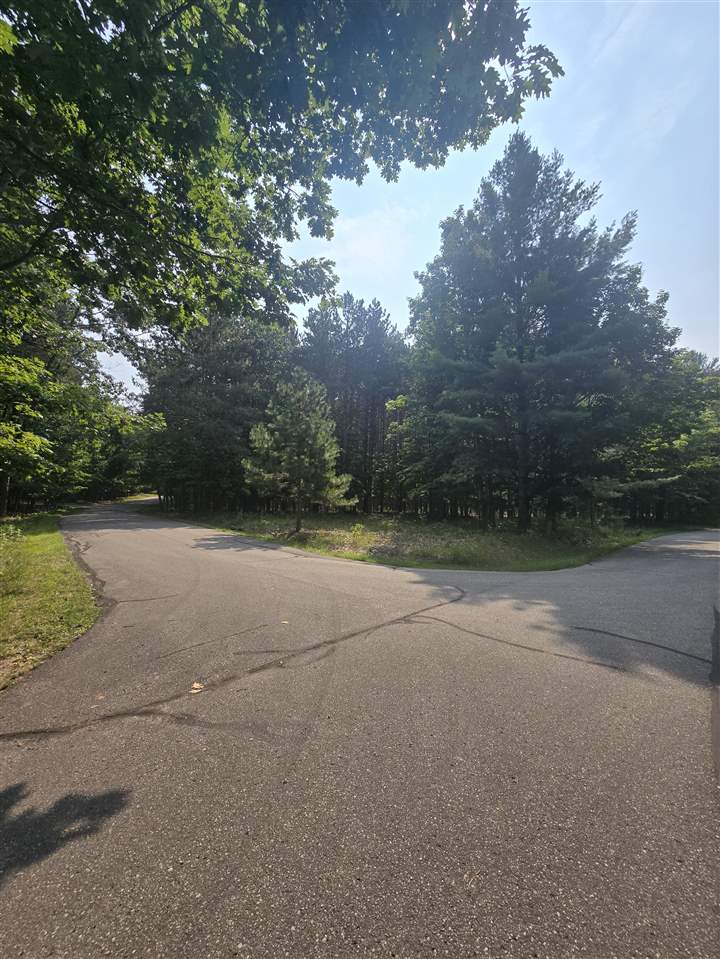 8745 Voyageur Trail Harbor Springs MI 49740