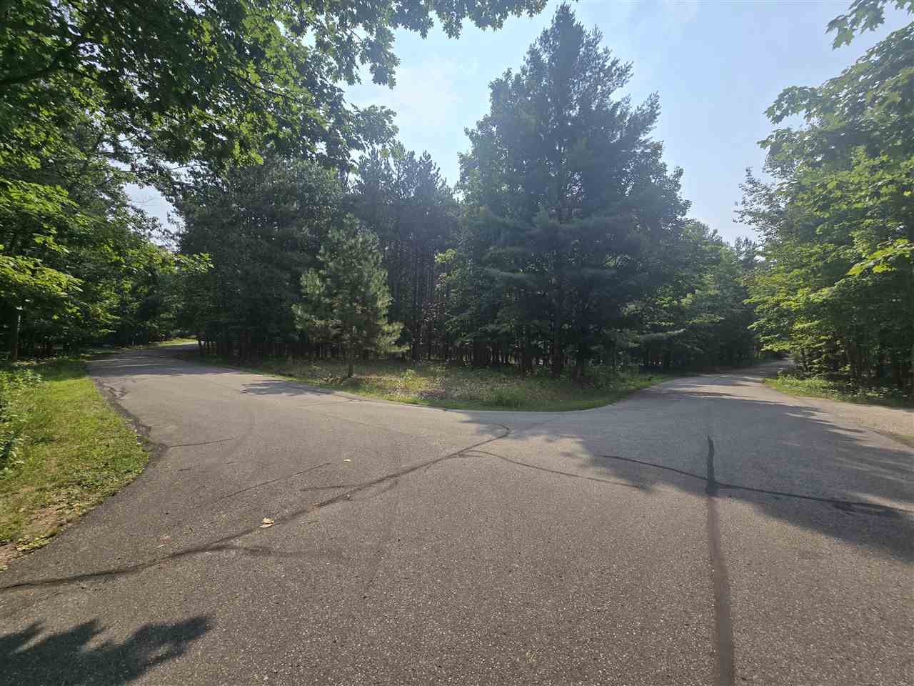 8745 Voyageur Trail Harbor Springs MI 49740