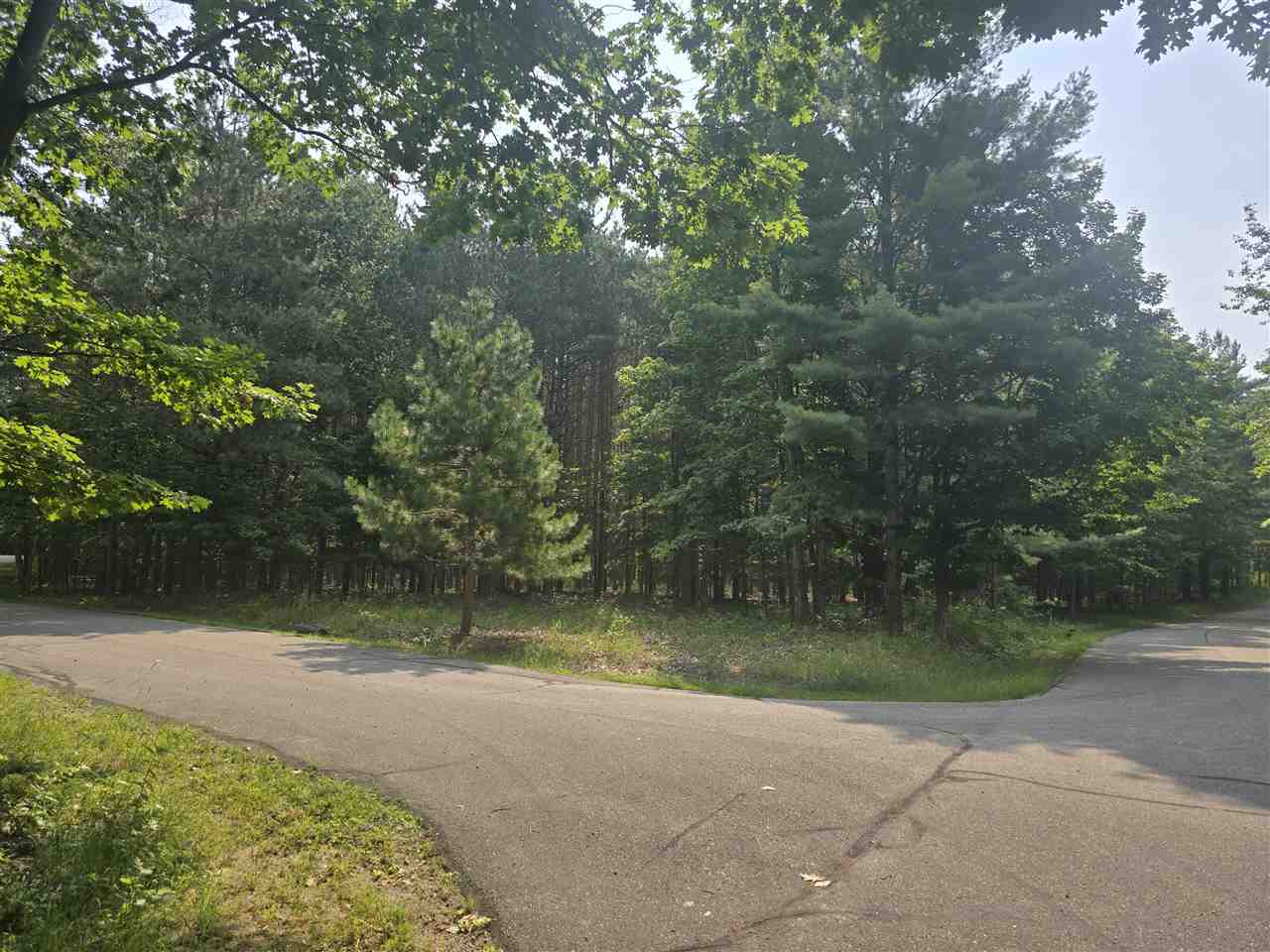 8745 Voyageur Trail Harbor Springs MI 49740