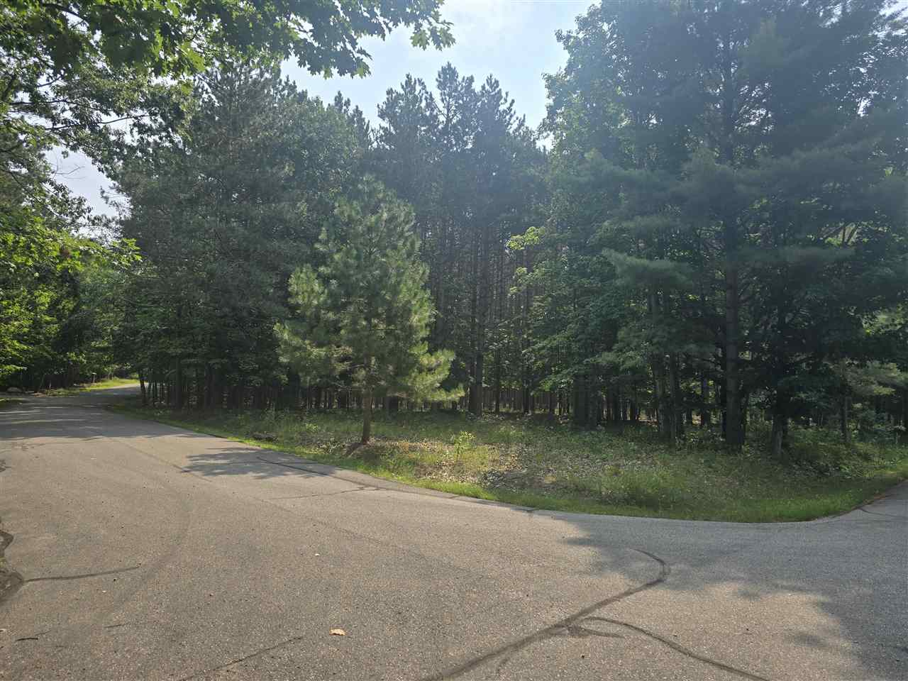 8745 Voyageur Trail Harbor Springs MI 49740