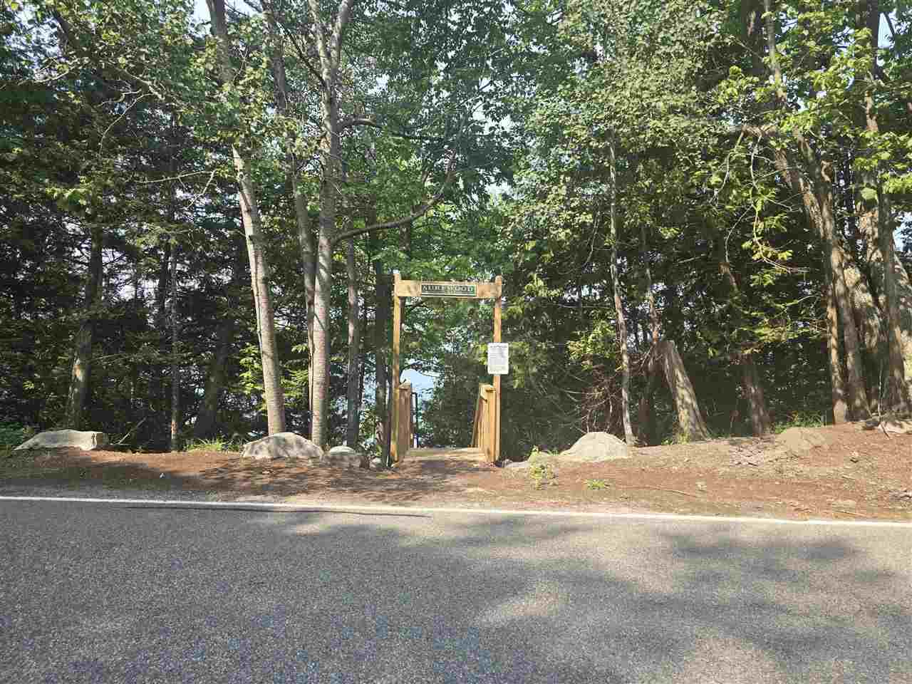 8745 Voyageur Trail Harbor Springs MI 49740