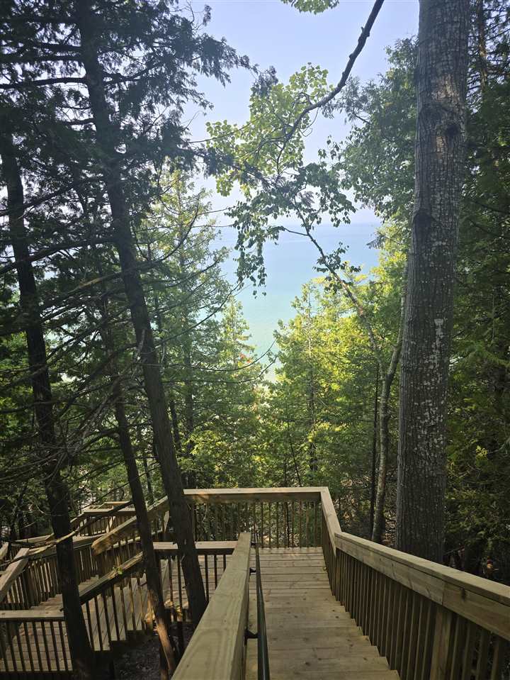 8745 Voyageur Trail Harbor Springs MI 49740