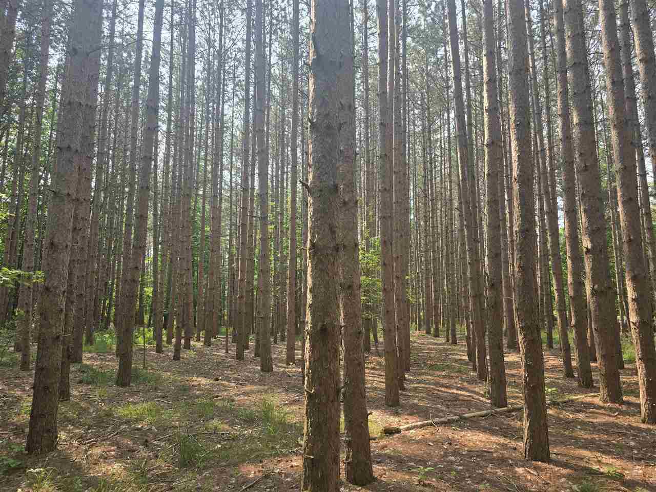 8745 Voyageur Trail Harbor Springs MI 49740
