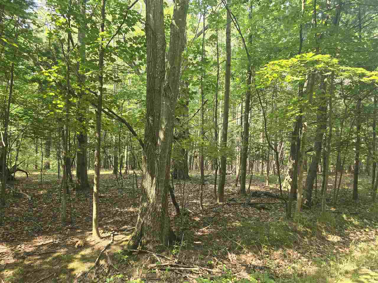 8745 Voyageur Trail Harbor Springs MI 49740